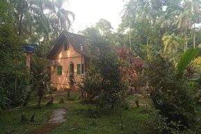 Casa Aconchegante em Morretes no meio da Natureza!